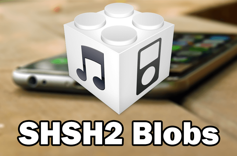 save shsh2 blobs