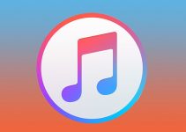 iTunes 12.5.5 is now available for download on macOS and Windows