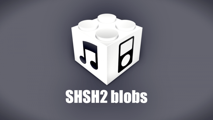 shsh2 blobs