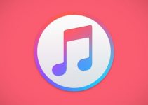 iTunes 12.9.4.61 disables upgrade/downgrade from local IPSW files