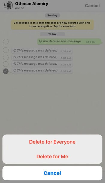 delete whatsapp messages after sending