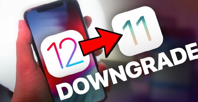 How to downgrade iOS 12.0 to iOS 11.4.1