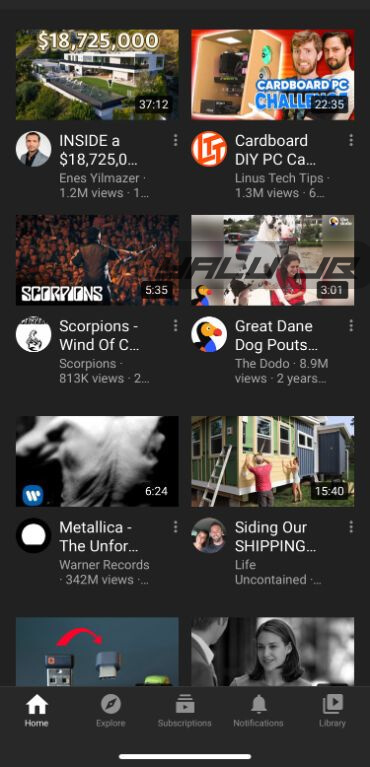 YouTube Reborn with iPad Mode Enabled